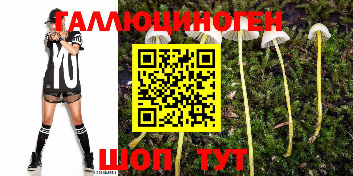 Псилоцибиновые грибы Cubensis  Вход с VPN  Мурино 